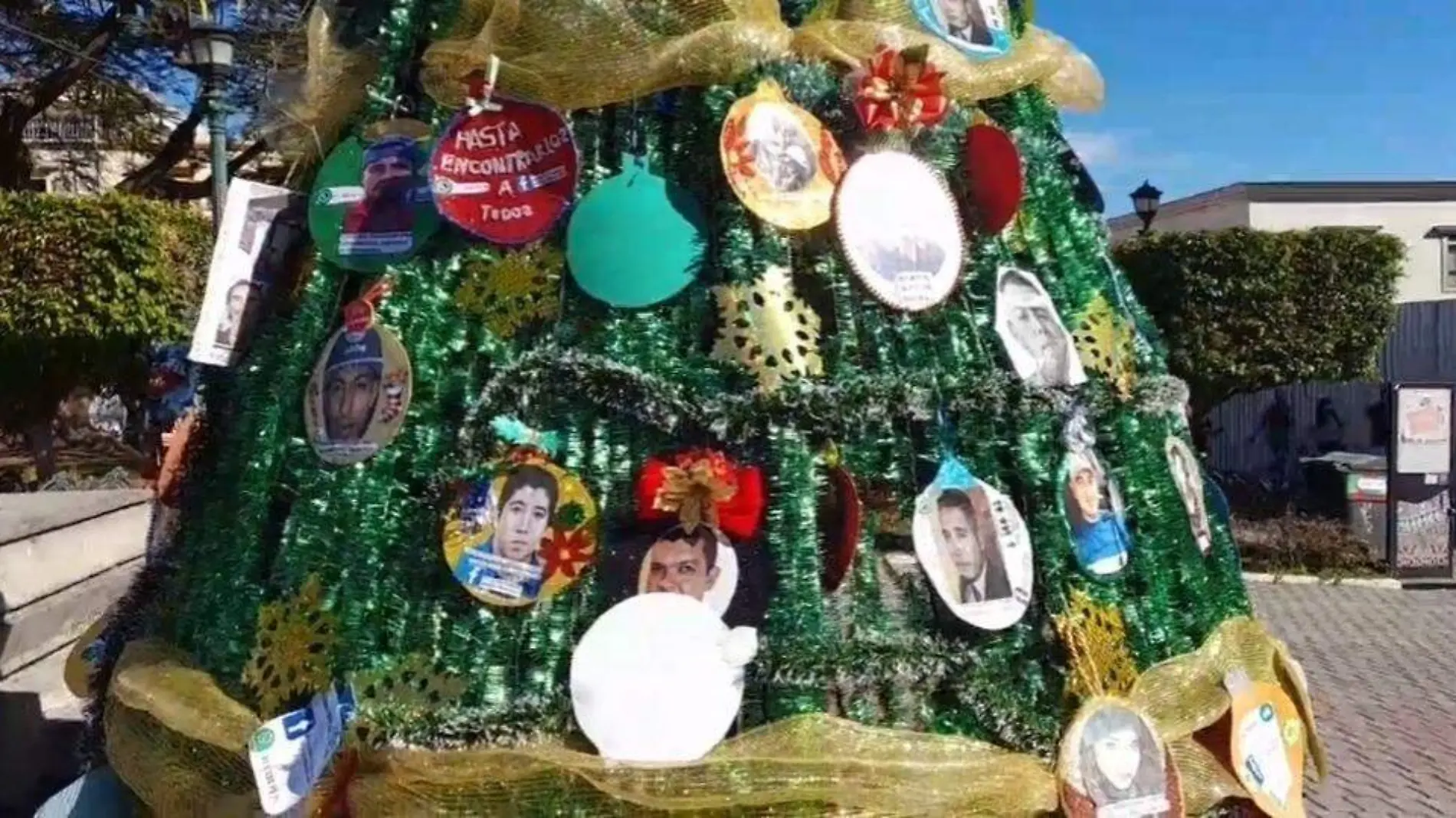 Árbol desaparecidos